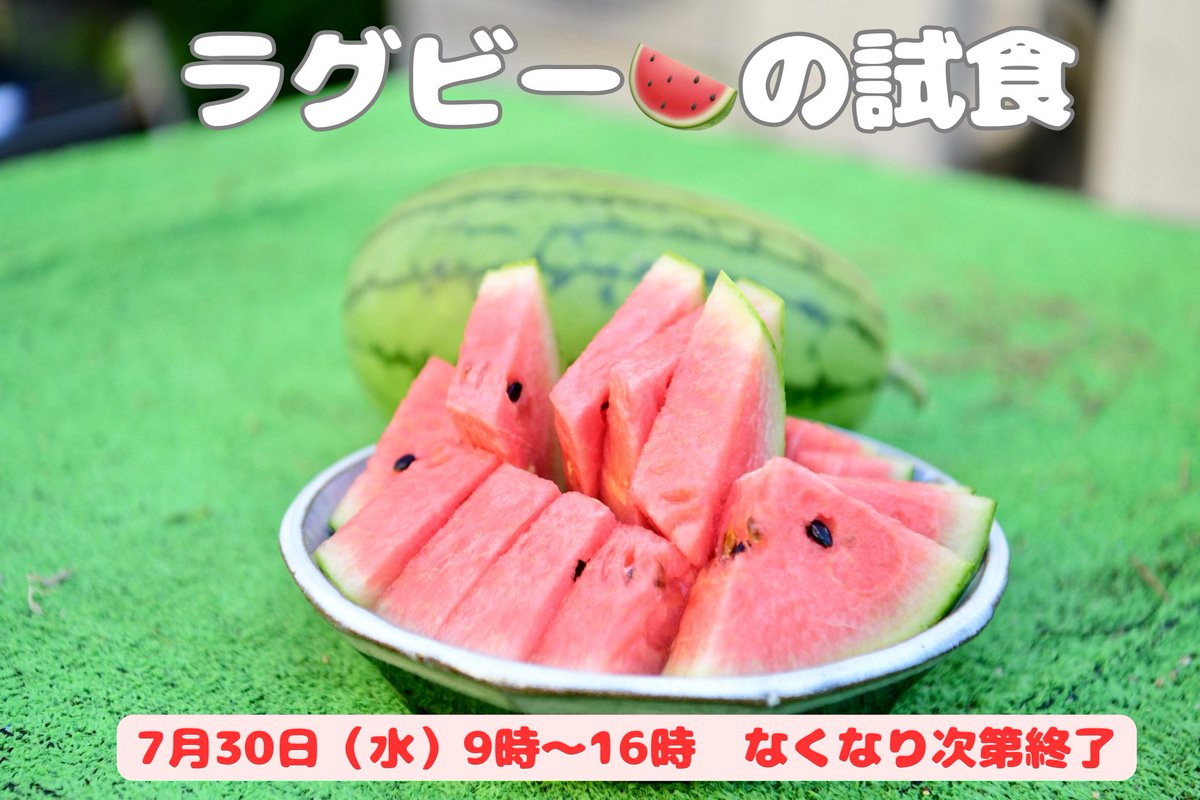 higashiosakaPD's tweet image. /
大阪・関西万博に向けて
ラグビーすいかの収穫
\
ラグビーのまち東大阪のPRを目的に、大阪・関西万博の会場にてラグビーすいかを振舞います。
当日、振舞うラグビーすいかの収穫を先日行い、日新高校の生徒さんにも手伝ってもらいました🍉