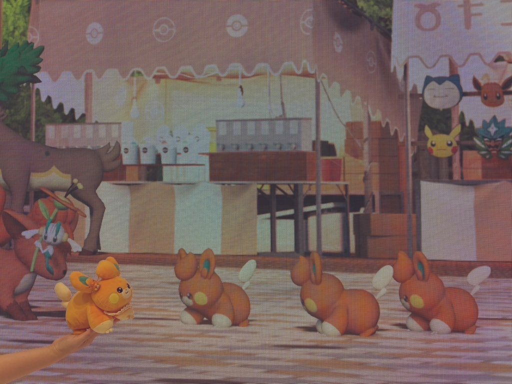 pamoonmoti's tweet image. 🧡🧡🧡🧡