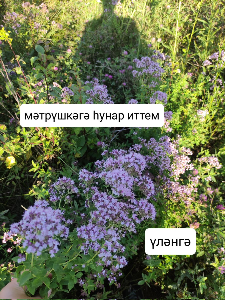 bashkortmem's tweet image. 