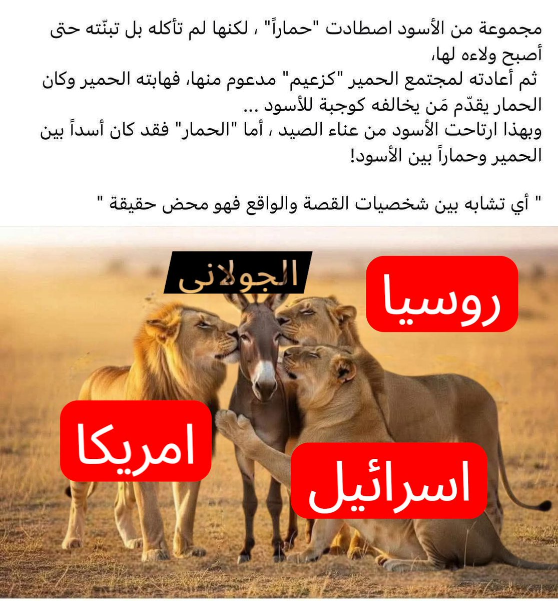 AliiAlii337649's tweet image. أحمد الشرع يشيد بالدور الإرهابي للعشائر الداعم للدولة والحقيقة أن اللعبة استخبراتية منظمة نصف المهاجمين هم من جبهة النصرة وداعش