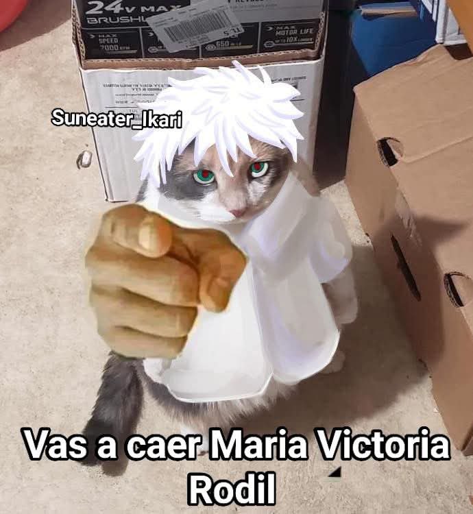 reiweeb's tweet image. Les dije a todos que netflix no y el anime no van juntos,saquen el anime de las plataformas basicas. Victoria Rodil,homofobica de mrd