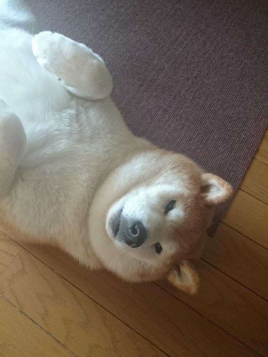 #これを見た人は無言で若い頃の画像を貼る