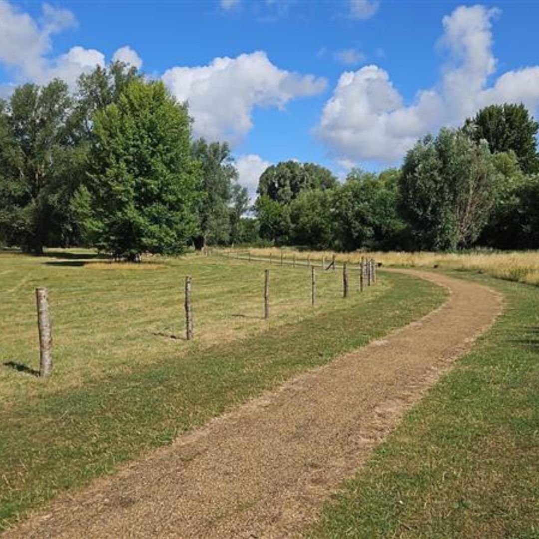 TheParksTrust's tweet image. Our contractors are installing a new fence in Ouzel Valley Park!
The fence will join up the new accessible gates which have been installed in the park.
We are using Sweet Chestnut posts which come from sustainable sources in the UK.
Learn more: ow.ly/U6Jz50WrNHU