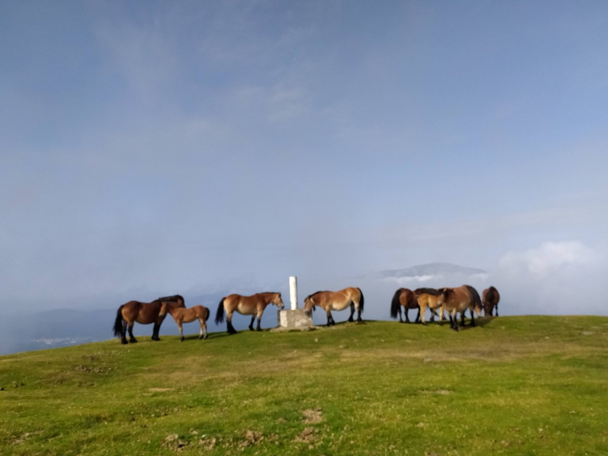 Bizkaia, Urkiolamendia.