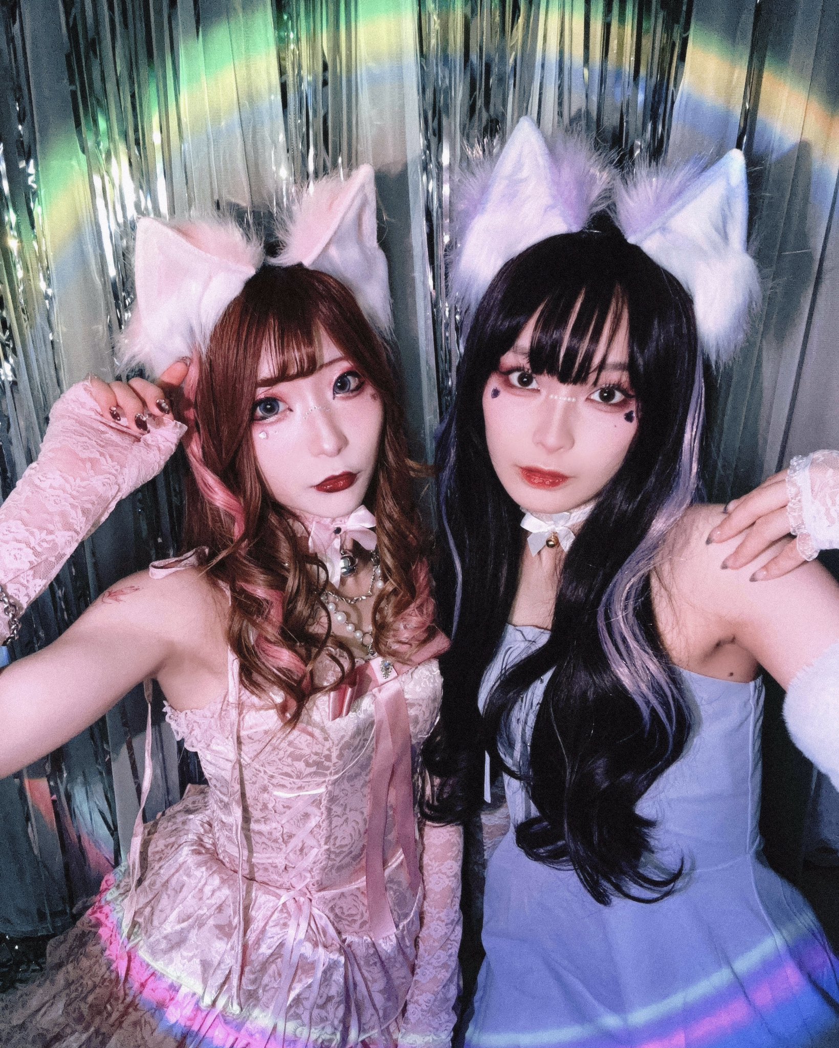 桜井木穂　白いビキニ 猫耳ヘアバンド 　チェキ　ポラロイド写真 桜木 ひまり(劇団ZTON) on X: 