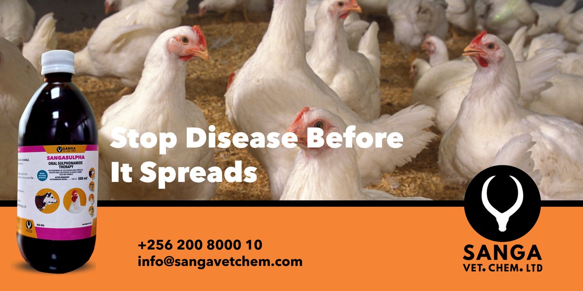sangavetchem's tweet image. Sneezing, swollen faces, or nasal discharge in your flock could be symptoms of Coryza or another bacterial infection. These diseases spread quickly and can lead to poor growth in broilers and fewer eggs from your layers.
SANGASULPHA is a broad-spectrum, fast-acting…