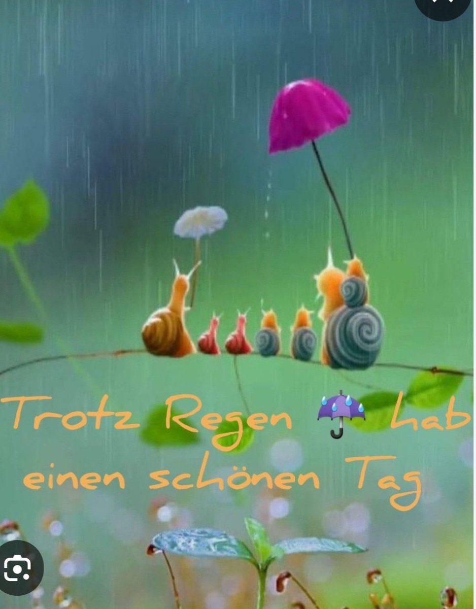 KlappertLeiser's tweet image. 💚☕️Guten Morgen, habt trotz Regen einen stressfreien Start in die neue Woche..💚🥰💚