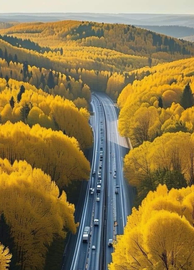 اللهّم اكتب لنا أيام جميلة وأخبار مفرحة 
ونفس قنوعة راضية بكل قدر كتب لها.
 #صباح_الخير