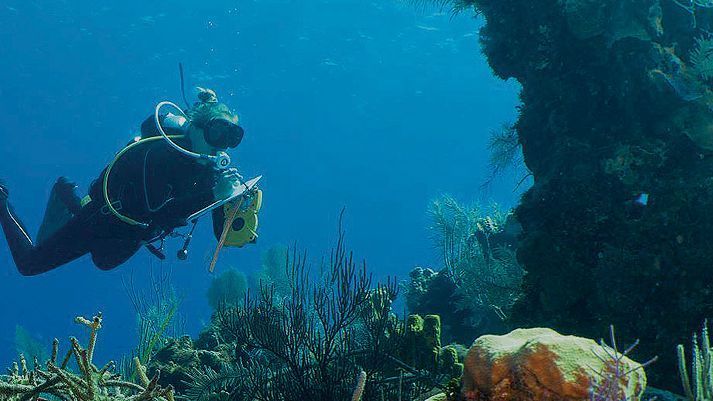 reef_research's tweet image. CORAL FIELD COURSE OPPORTUNITY FOR STUDENTS: Tropical Marine Ecology: From Fieldwork to Conservation (CCMI, Little Cayman Islands)
Learn more here: reefresearch.org
The Central Caribbean Marine Institute (CCMI), a remote marine research and education facility on Little…