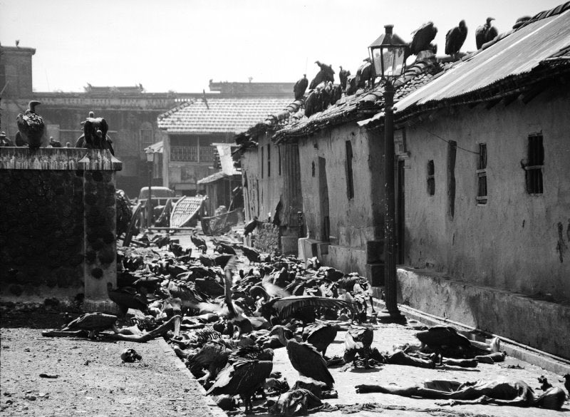 vivekagnihotri's tweet photo. When Hindus were butchered in broad daylight under Jinnah’s Direct Action Day.

Dead bodies rotting in the streets.
Vultures feasting on Hindu corpses.
Women raped. Children hacked to death.
And yet… history called it a “riot.”

We call it what it was — a genocide.

We are going to tell you the truth, so that the world never forgets.

This is not fiction.
This is India’s erased truth.

The Bengal Files
Releasing worldwide on 5th September 2025
#RightToLife #TheBengalFiles