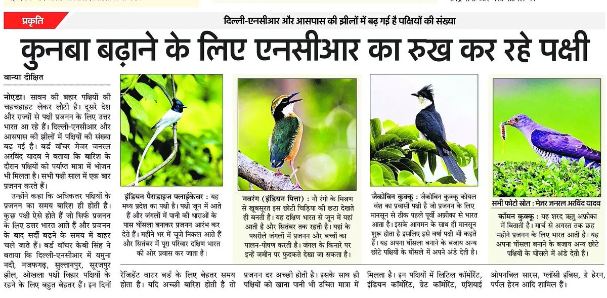 Vanya Dixit (@vanya_reporter) on Twitter photo बारिश के दौरान दूसरे देश और दूसरे राज्यों के पक्षी दिल्ली एनसीआर में आ रहे।
#environment <a href="/AmarUjalaNews/">Amar Ujala</a> <a href="/UNEP/">UN Environment Programme</a> #noida #delhi बारिश के दौरान दूसरे देश और दूसरे राज्यों के पक्षी दिल्ली एनसीआर में आ रहे।
#environment <a href="/AmarUjalaNews/">Amar Ujala</a> <a href="/UNEP/">UN Environment Programme</a> #noida #delhi