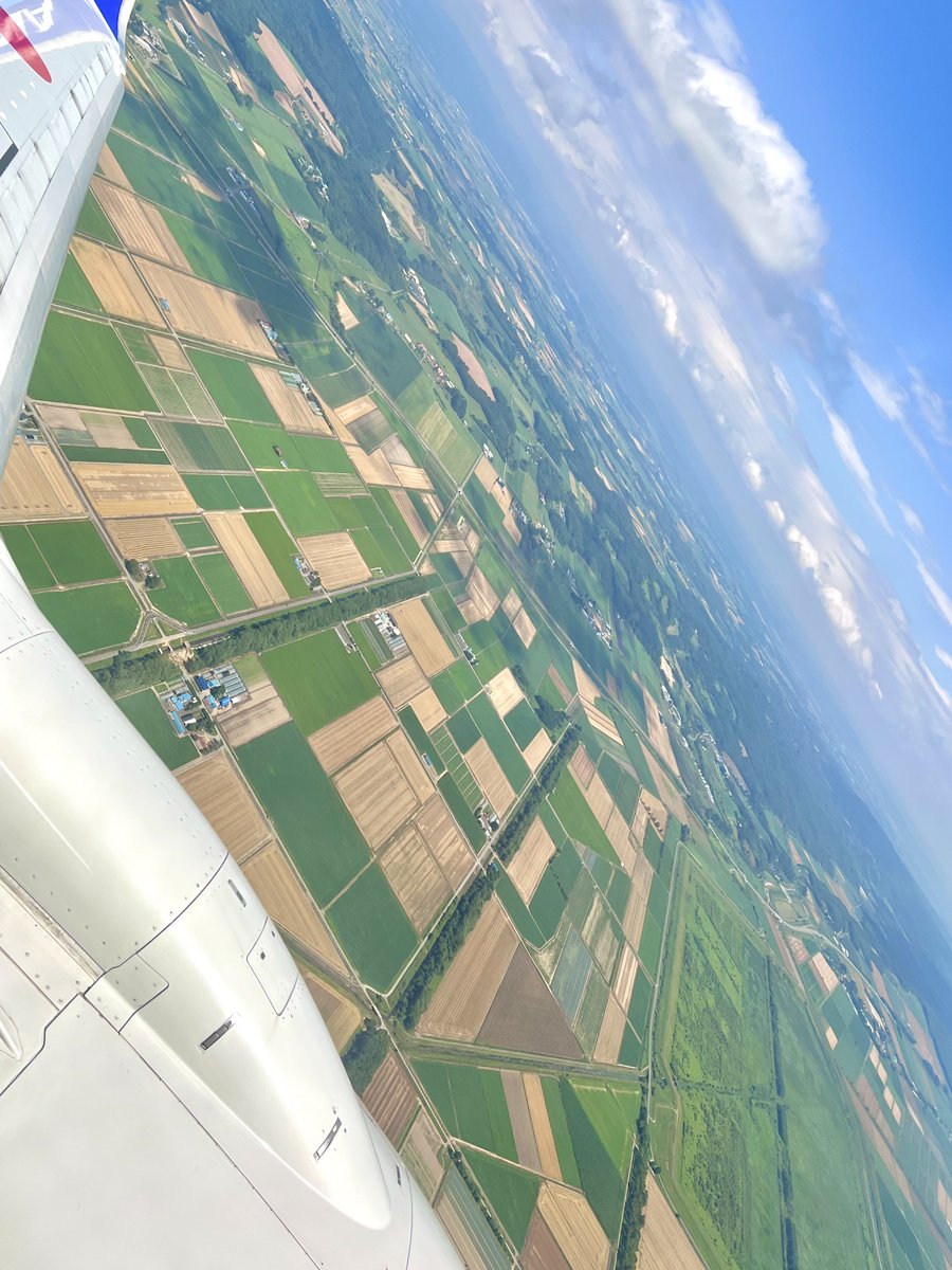 26k46f's tweet image. 帰省✈️☺️