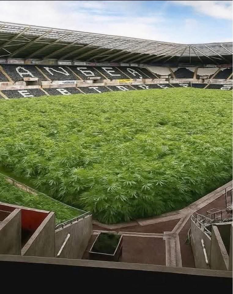 Snoop Dog has hit the ground running, he's already had the new pitch installed.