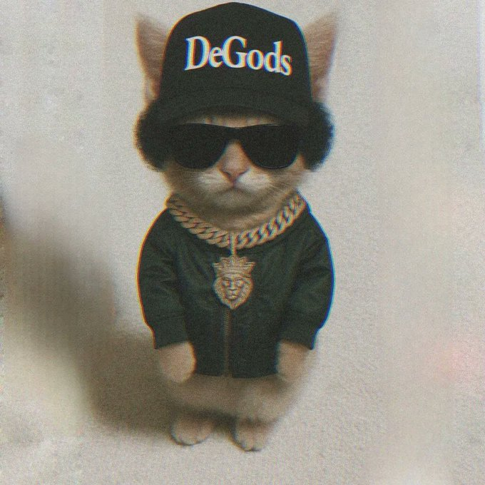 catguy_sol's tweet image. After nailing the following predictions:
-Altcoins to be back
-NFTs to be back

My next prediction is @DeGodsNFT / DeGods to 3 Digits in SOL

I&apos;ll be here waiting