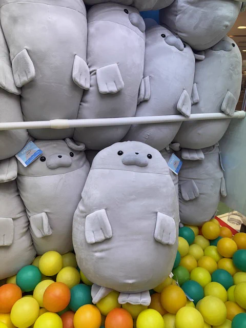 GwXJDdJXsAADQc8?format=webp&