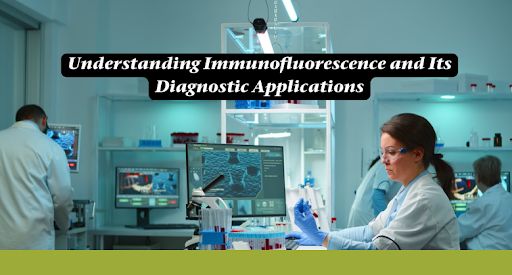 DSSImagetech's tweet image. Immunofluorescence testing ranks among medicine’s most reliable diagnostic tools, especially when detecting autoimmune diseases. The sensitivity rates reach 100% for certain conditions... Read More - dssimage.com/blog/understan… 

#DSS #inspiredbytechnology #biotechnology