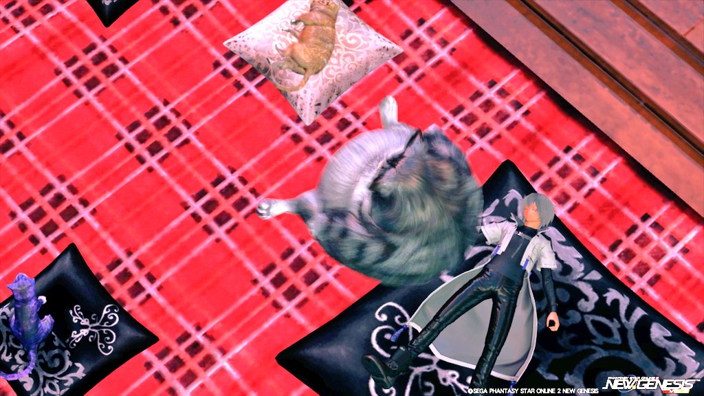GAI0031's tweet image. 猫の呼吸音聞いてるとすぐ眠くなる😪