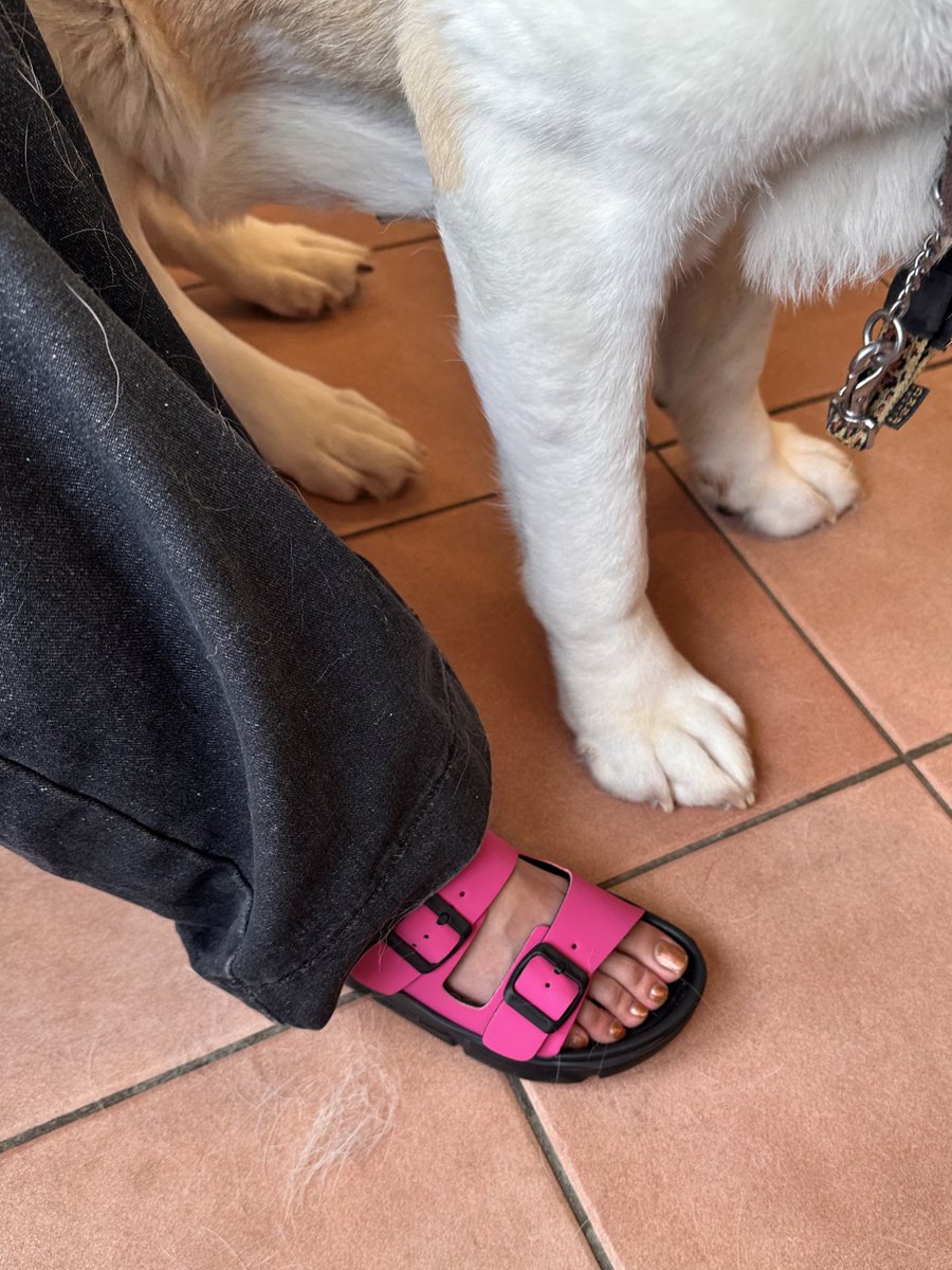 ゆさんの足が小さいのか
お犬様の足が大きいのか