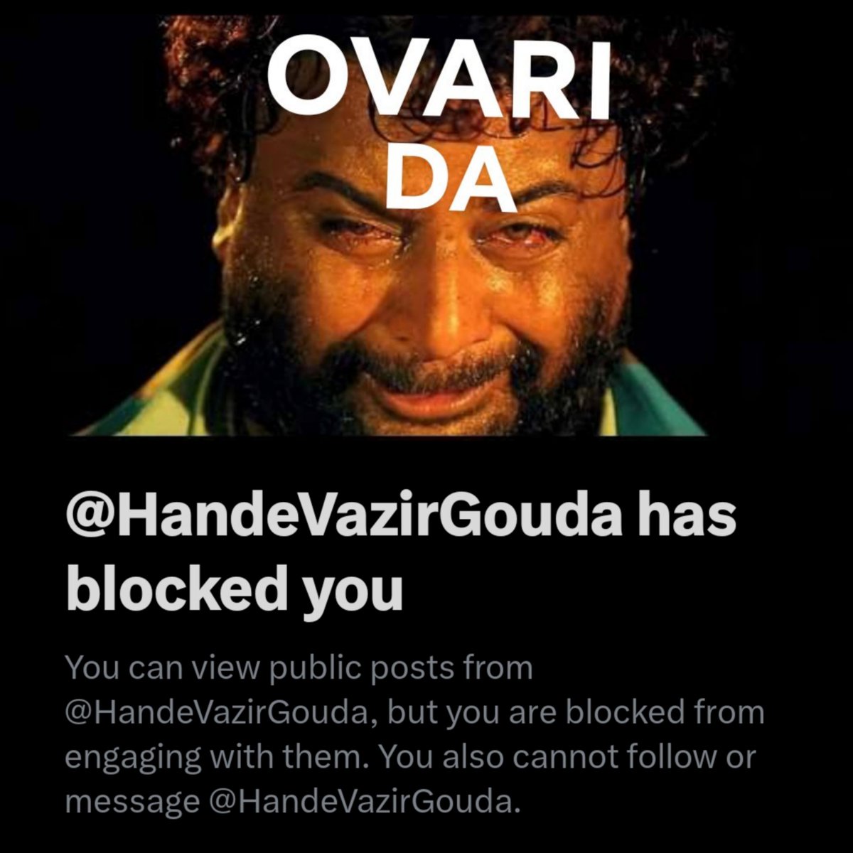 Part II of OVARI DA.

In previous thread...