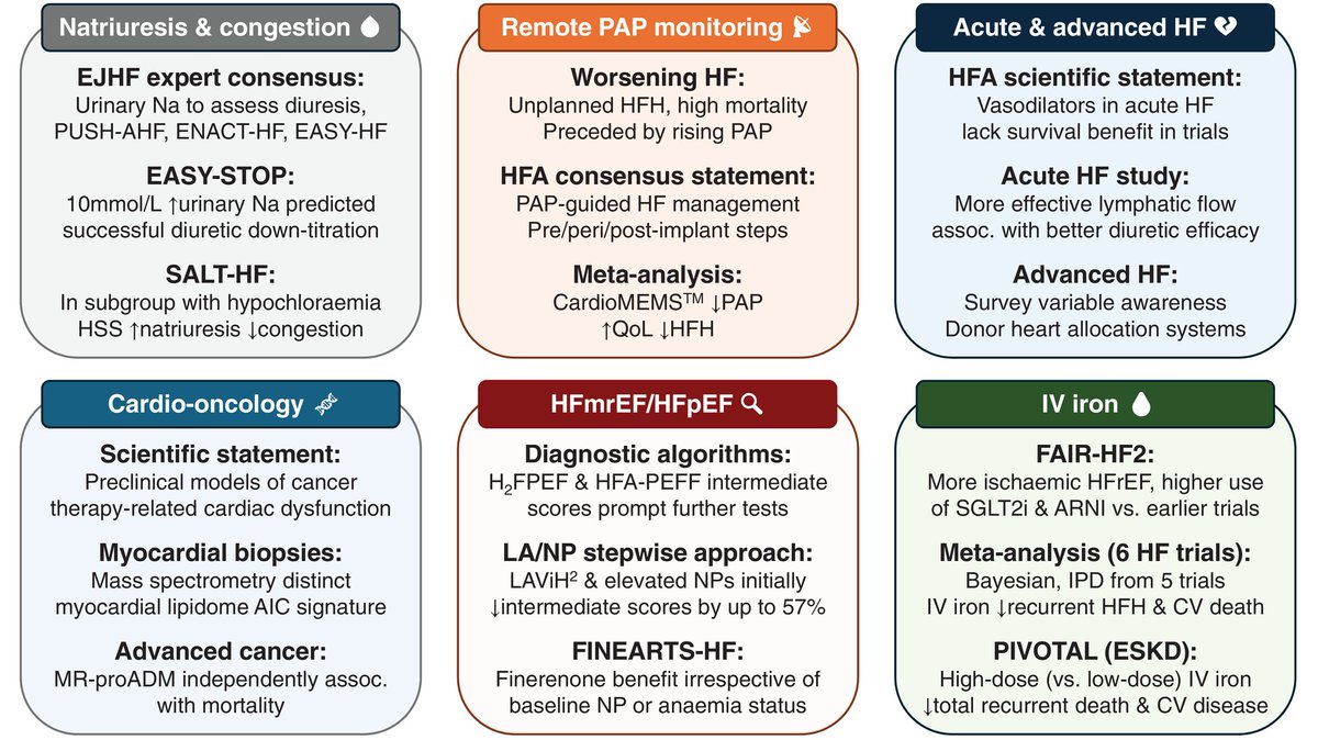 Matthew MY Lee (@matthewmylee) on Twitter photo What’s new in #HF June 2025?
🔗 doi.org/10.1002/ejhf.3…
💧 Natriuresis & congestion
📡 Remote PAP monitoring
💔 Acute & advanced HF
🧬 Cardio-oncology
🔍 HFmrEF/HFpEF
🩸 IV iron
<a href="/PauCodi/">Pau Codina Verdaguer</a> @DaniTomasoni <a href="/AlbertoAimo90/">Alberto Aimo</a> <a href="/ESC_Journals/">European Society of Cardiology Journals</a> What’s new in #HF June 2025?
🔗 doi.org/10.1002/ejhf.3…
💧 Natriuresis & congestion
📡 Remote PAP monitoring
💔 Acute & advanced HF
🧬 Cardio-oncology
🔍 HFmrEF/HFpEF
🩸 IV iron
<a href="/PauCodi/">Pau Codina Verdaguer</a> @DaniTomasoni <a href="/AlbertoAimo90/">Alberto Aimo</a> <a href="/ESC_Journals/">European Society of Cardiology Journals</a>