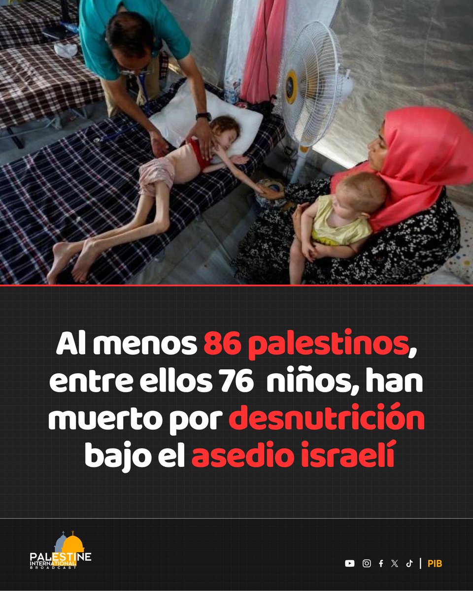 Al menos 86 palestinos —76 de ellos niños— han muerto por desnutrición bajo el asedio israelí. Solo en las últimas 24 horas, 18 personas más fallecieron por hambre en Gaza.