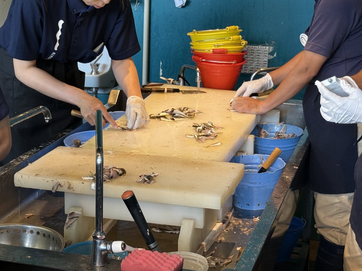 楢村匠 tweet media