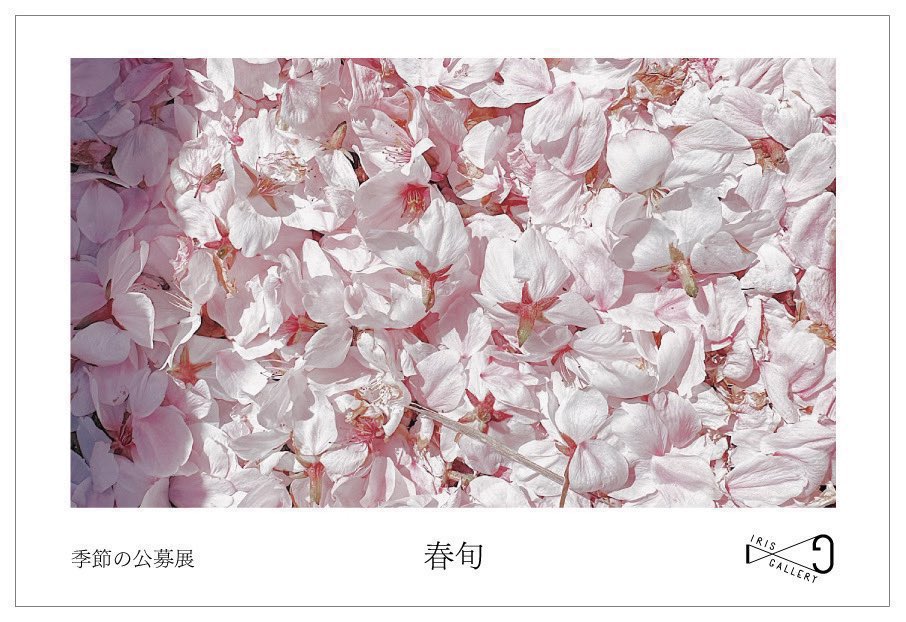 IRISGALLERY_TYO's tweet image. 第三回季節の公募展「春旬」
御礼・投票結果ブログ
iris--gallery.com/blog/708/
アップいたしました!
大変お待たせいたしました。
改めましてご出展・ご来場誠にありがとうございました。
夏の公募展は、まだまだ募集中です。