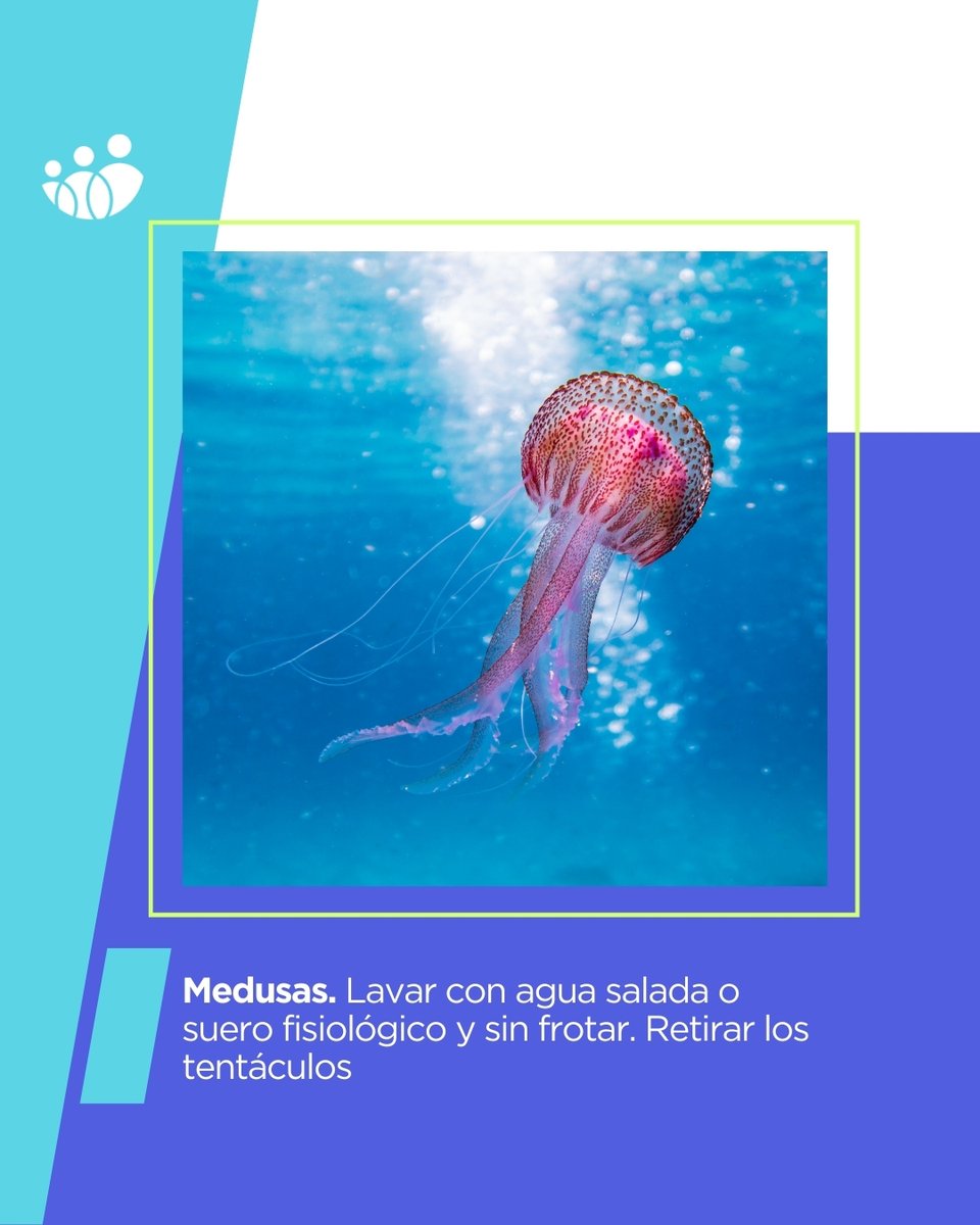 ACUNSA (@acunsa) on Twitter photo Las picaduras de mosquitos, abejas, medusas… son frecuentes en verano.
Cada una de ellas es diferente y precisan de una atención distinta. Desde <a href="/ClinicaNavarra/">Clínica Universidad de Navarra</a> sus expertos detallan qué hacer. bit.ly/2Zk5OHE Las picaduras de mosquitos, abejas, medusas… son frecuentes en verano.
Cada una de ellas es diferente y precisan de una atención distinta. Desde <a href="/ClinicaNavarra/">Clínica Universidad de Navarra</a> sus expertos detallan qué hacer. bit.ly/2Zk5OHE