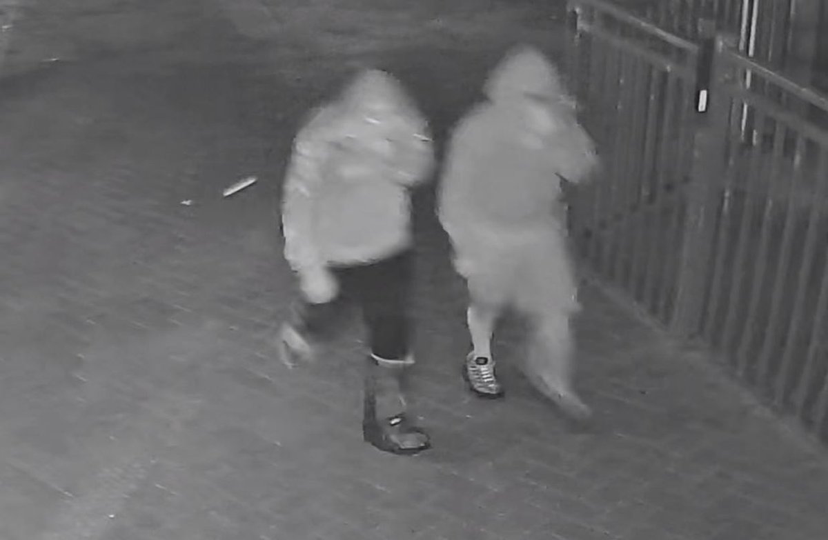 📆 Two separate incidents – 8:30pm 17 Jul &amp; 2:27am 19 Jul
📍St Brigid’s School
👟 Group of 5 males (~15yo), one in a moon boot
💡🔥 Damage to lights &amp; fire extinguisher
🚗 Red Outlander (or similar) attended to pick up one or more
📄 Ref: 210725 1026 64022 #fb