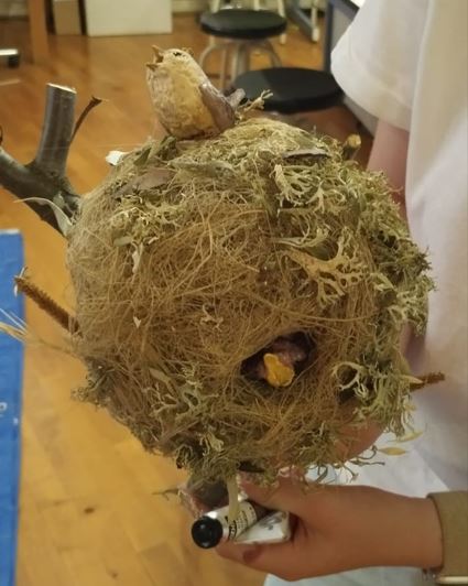 ¡Última oportunidad para participar en la Escuela de Verano ‘Amigos con plumas, picos y patas! Una propuesta en la que los participantes descubrirán los secretos del mundo de la ornitología y fabricarán, con sus propias manos, nidos y huevos ¡como los de esta imagen! Apúntate.