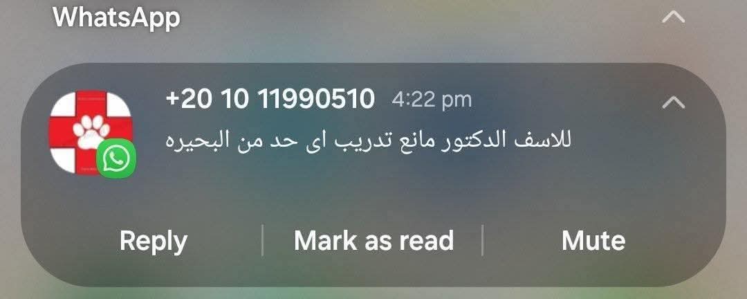 We_Are_ForLoop's tweet image. 