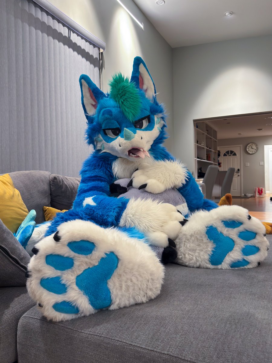 tecariowolf's tweet image. More paw content for your timeline ๐พ
๐ท @blzkwicz