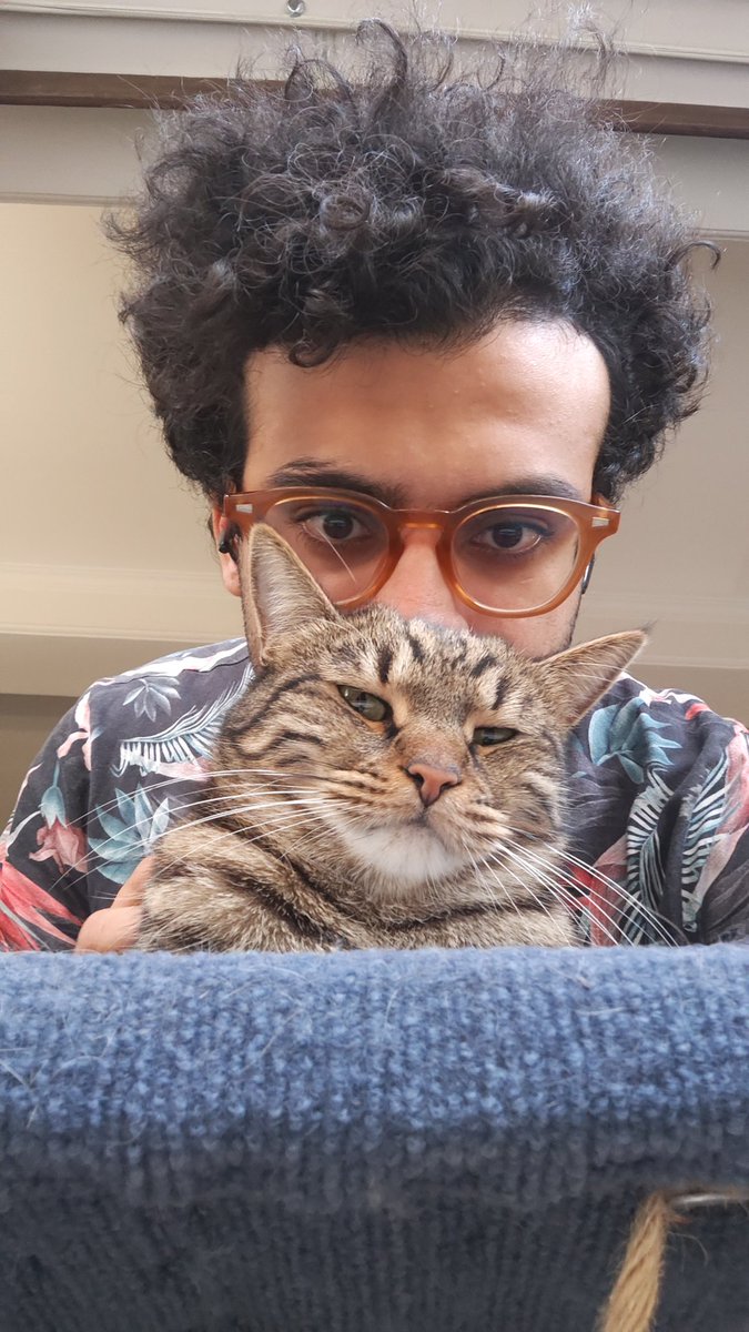 raghamzan's tweet image. نگاه از بالا به پایین پادشاه.