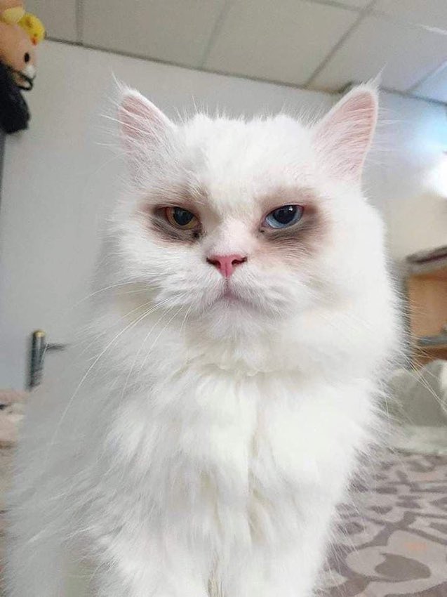 matilda_hide's tweet image. - у тебя тушь размазалась
- это не тушь, это выходные