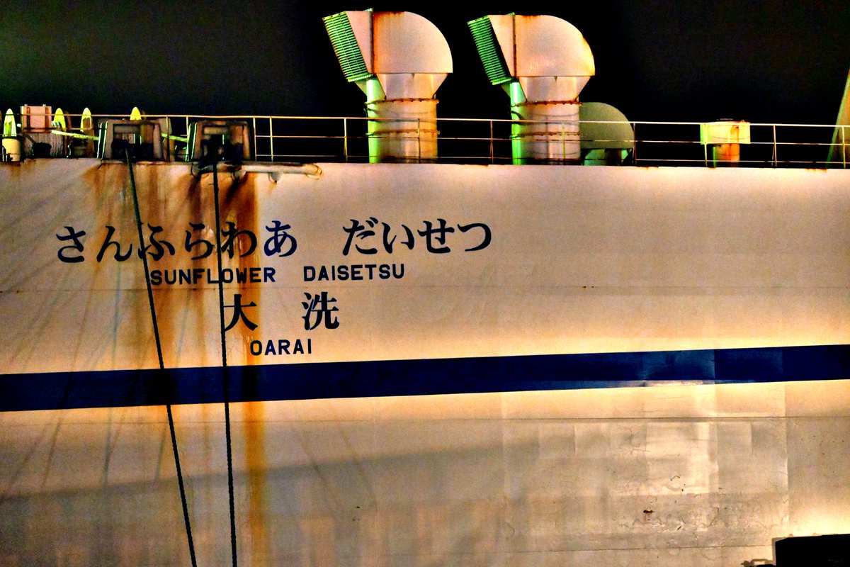 だいせつの塗装の下にいるニューれいんぼうらぶってこれか
思いっきり補正かけたら手持ちの写真にも写っててよかった