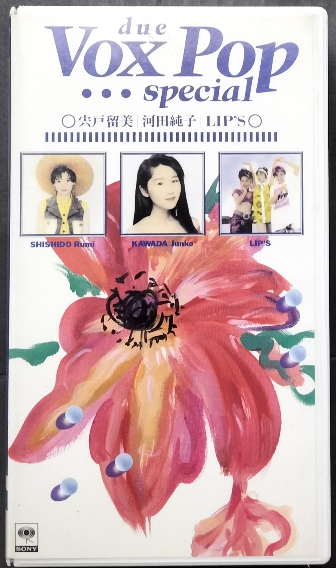 典子は,今('81キネマ東京/シバタフィルムプロモーション) セル中古DVD 典子は,今('81キネマ東京/シバタフィルムプロモーション) セル