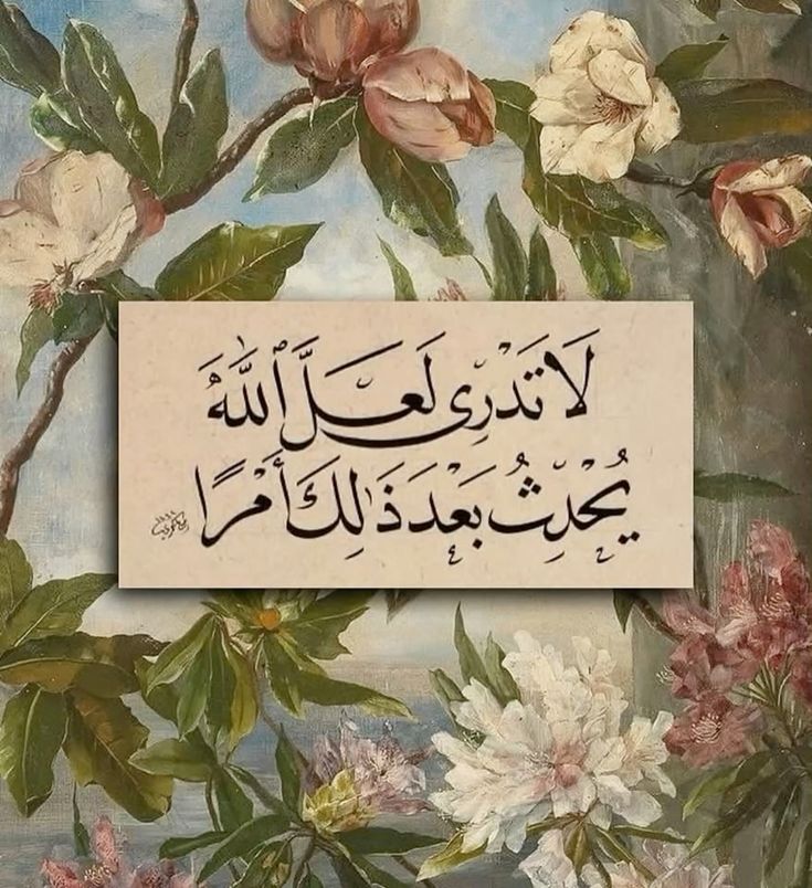 لَا تَدْرِي لَعَلَّ اللَّهَ يُحْدِثُ بَعْدَ ذَلِكَ أَمْرًا🤎..