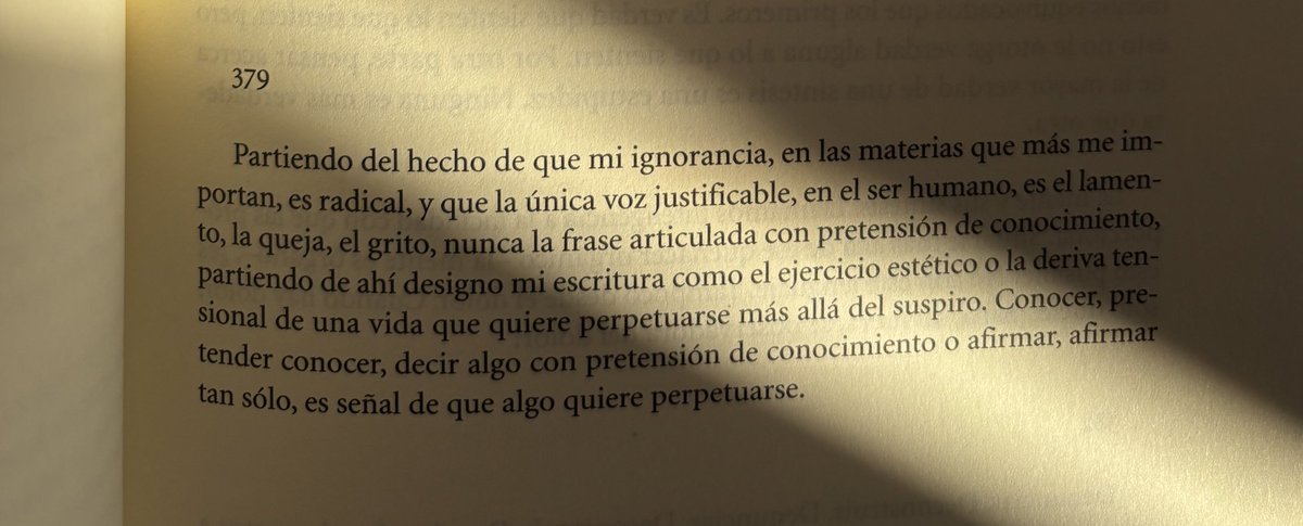 scardanelli__'s tweet image. Chantal Maillard