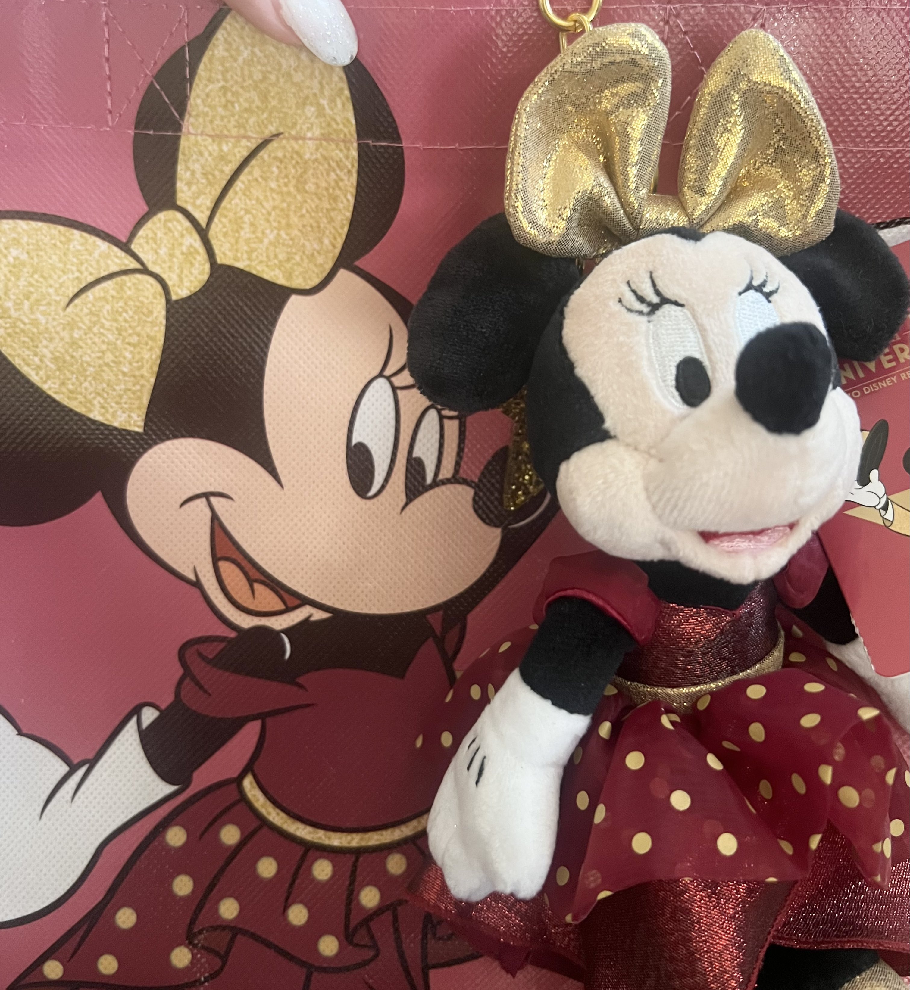 すぬちゃんさま　2点　おまとめ ぬこー様ちゃん先生スペースから学ぶおもしろいエッセイマンガの