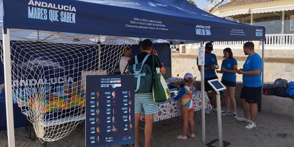 ServiciosAND's tweet image. 📆Hasta el 15 de agosto
🌅🐟Talleres y actividades didácticas y lúdicas gratuitas 'Mares que saben' en las playas de #Andalucía
🕔De 10:30 a 14:30 y de 17:00 a 21:00 horas
Disfrútalos 👉 lajunta.es/5qhn1
#pesca #Andalucía @AgriculturAnd