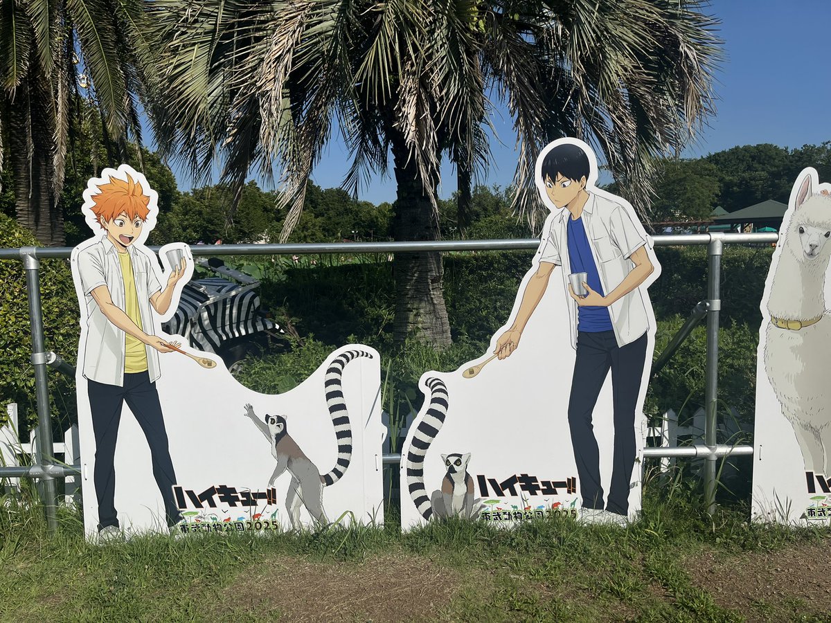 tousa_good's tweet image. 