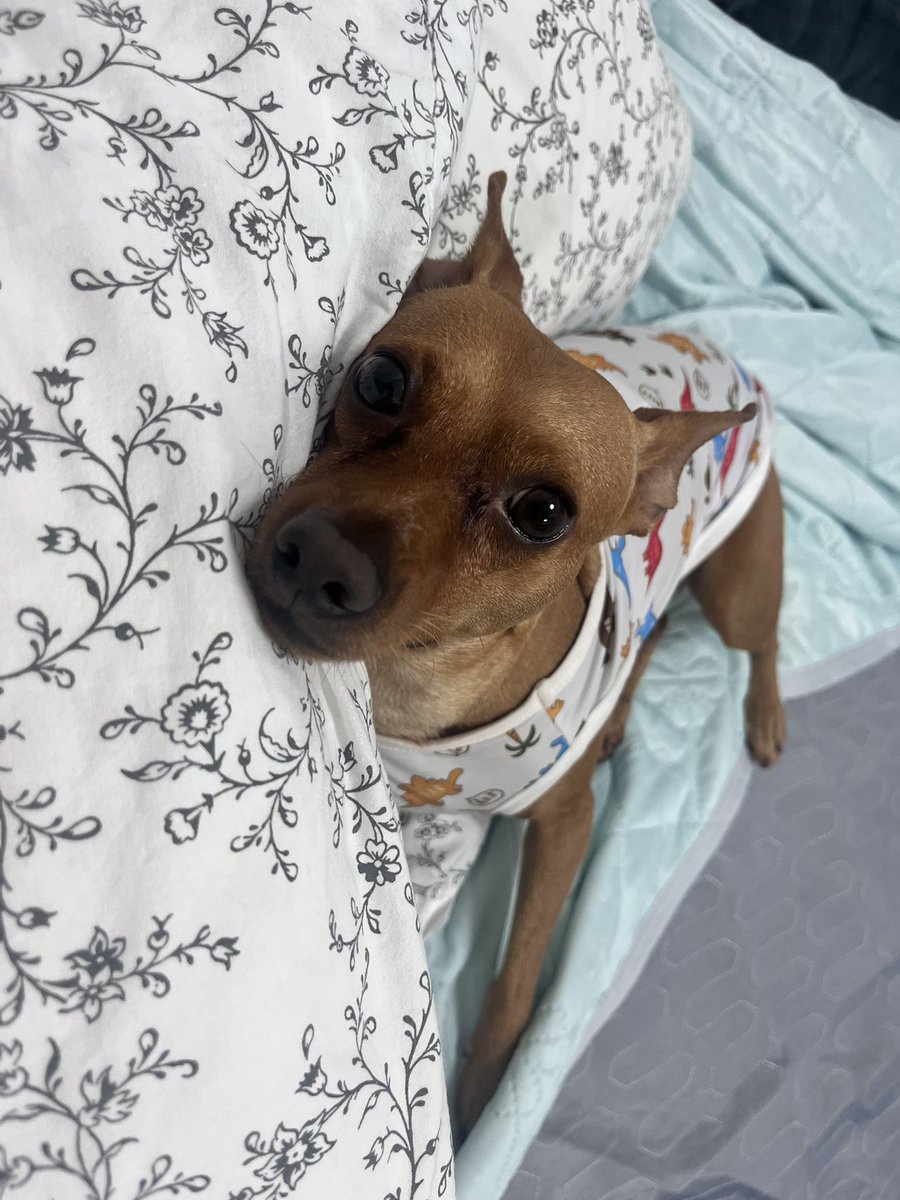 こいつかわいいなぁ