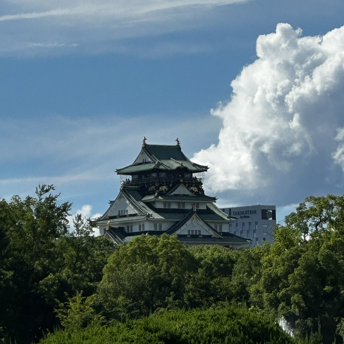 zamesu's tweet image. 