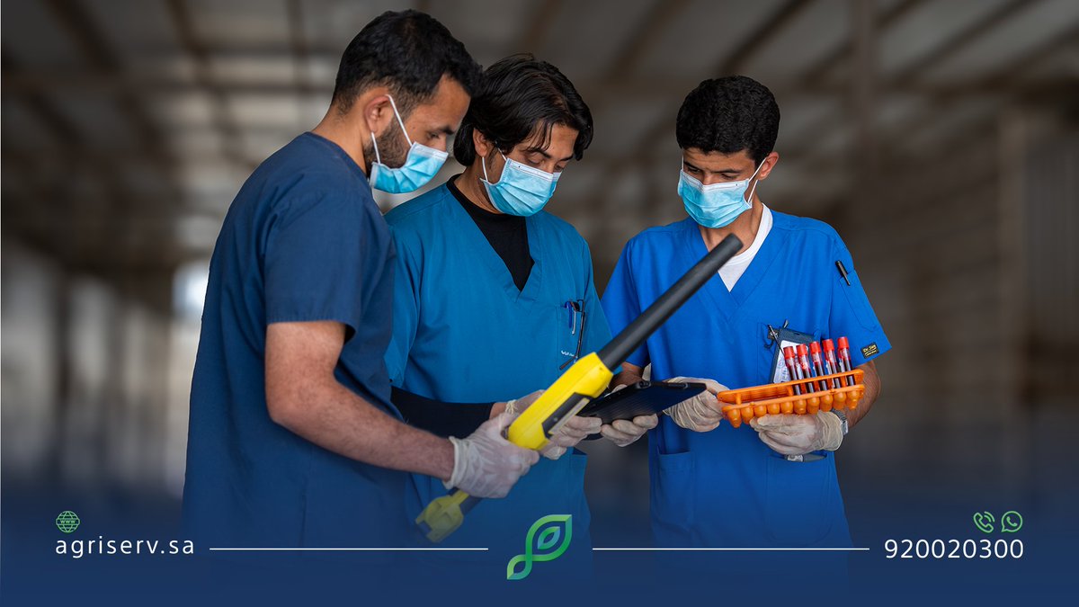 AgriServ_sa's tweet image. كوادر وطنية تواصل خدمة مُلاك الخيل واستكمال إجراءاتهم، استعداداً لانطلاق #موسم_سباقات_الطائف 2025 🏇