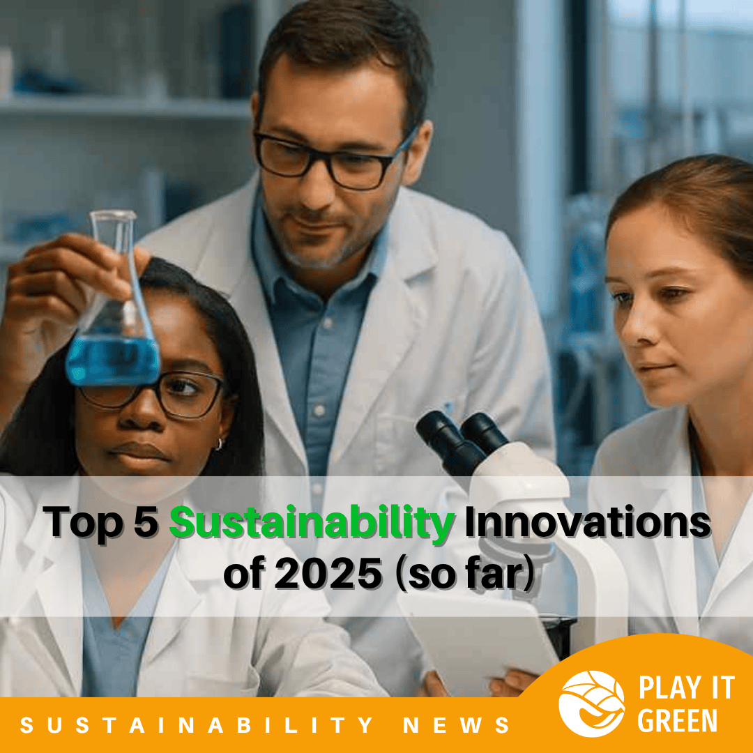 Top 5 Sustainability Innovations of 2025 🌍

→ Hydrogen from seawater

→ Blockchain-backed supply chains

→ Compostable packaging

→ Smarter water tech

→ Finland’s new sand battery 

Real solutions. Working now.

More 👉 playitgreen.com/top-5-sustaina…

#Sustainability #Innovation