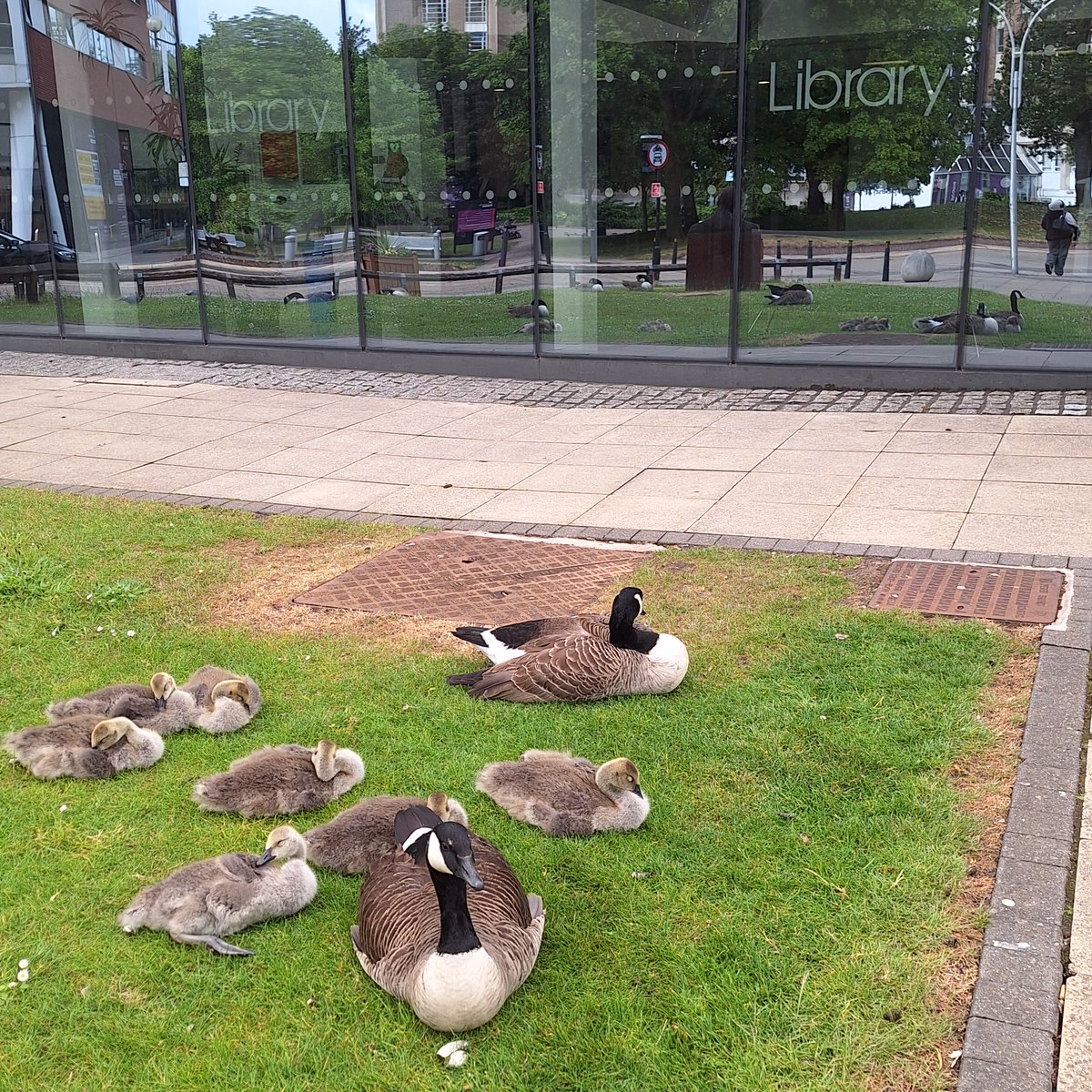 Good morning all! The Library building will be open today until 7pm. We'll also be here as always online with you until 5pm. You can reach us by phone on 0121 204 4525, email: help@library.aston.ac.uk or Live Chat via the Library Home Page