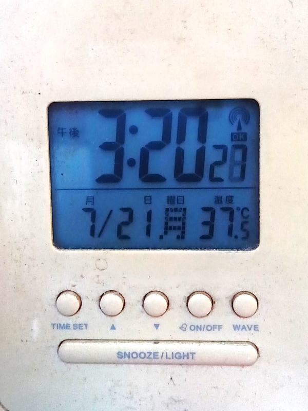 体温越えの室温、今年初かな？