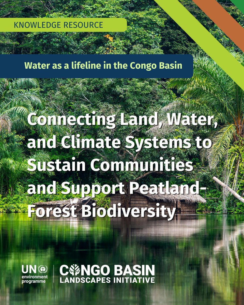 BasinCongo18051's tweet image. With #RamsarCOP15 coming up, check out our #knowledgebrief on &quot;Water in the Congo Basin&quot; highlights key #land, #water &amp;amp; #climate links for #wetland resilience. ▶️🔗lnkd.in/g8gN2xSk #WetlandConservation #ClimateAction Follow us on LinkedIn for more early updates &amp;amp; insights!