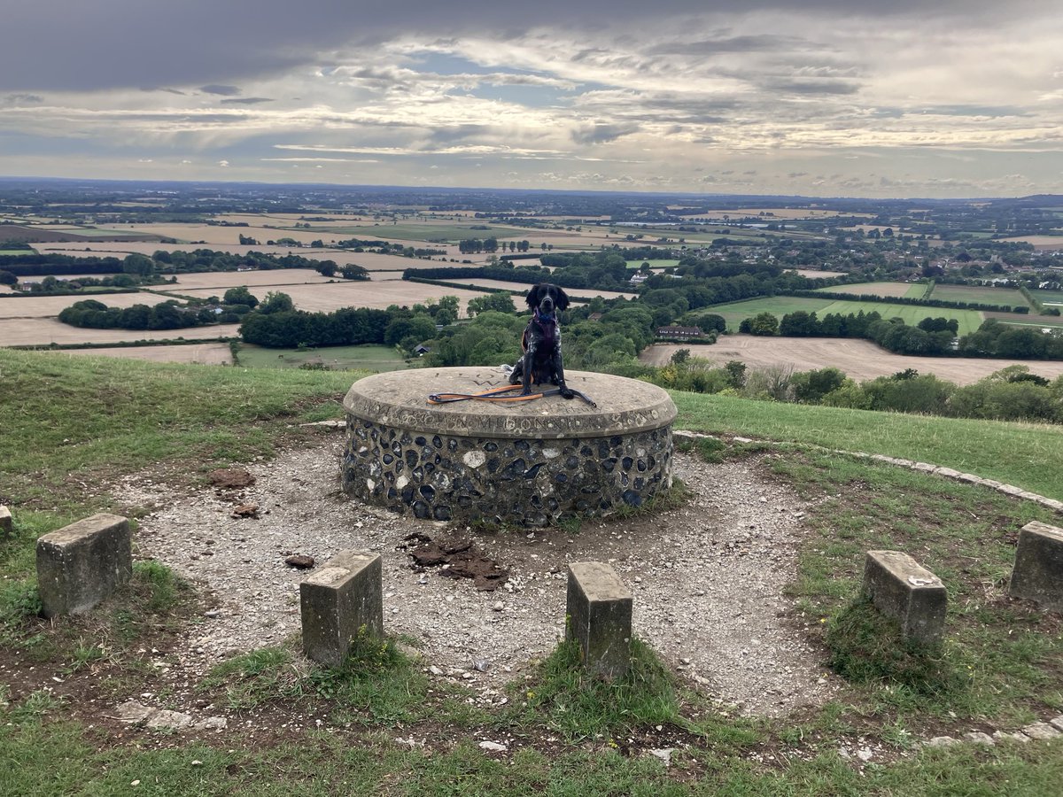 PiperSprocks's tweet image. This was yesturday!
Look at dem clouds…
This morning it was sooper wet but stopped so we could have walk and do essenshulls
Have the great week amigos