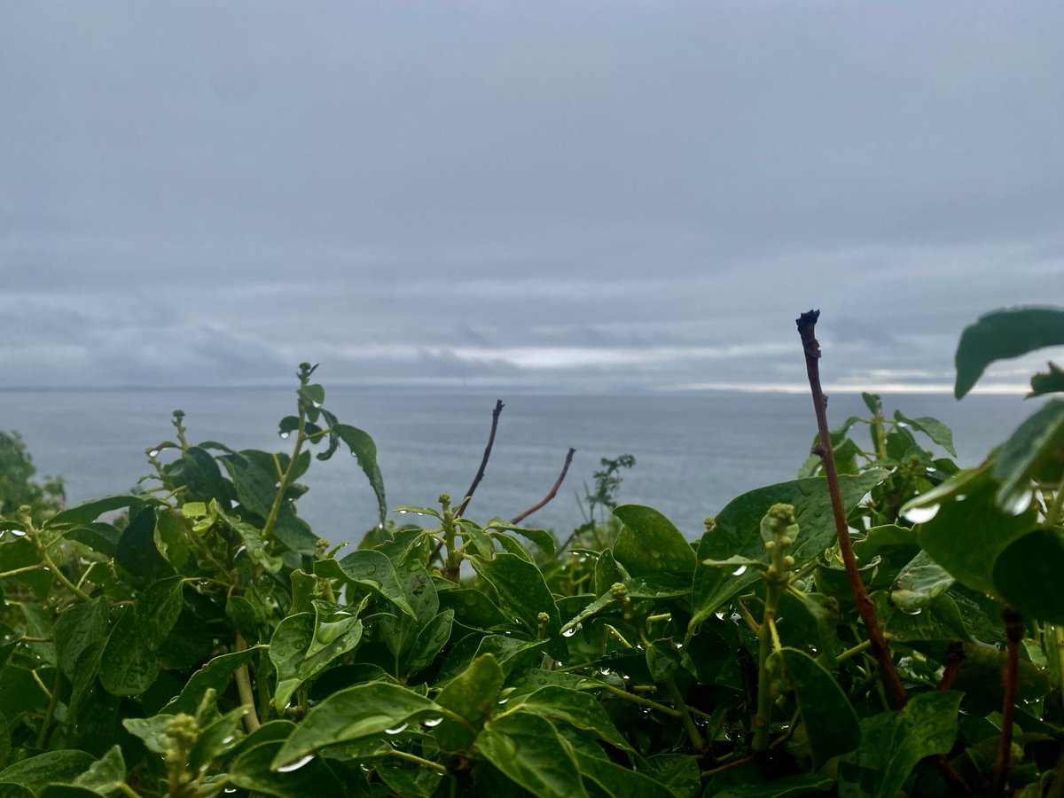 Kelly Mccaughan (@mccaughan_kelly) on Twitter photo Dark and wet start to Monday on the County Down coast <a href="/bbcniweather/">BBC NI Weather</a> <a href="/barrabest/">Barra Best</a> <a href="/WeatherCee/">Cecilia Daly</a> <a href="/geoff_maskell/">Geoff Maskell</a> <a href="/bbcweather/">BBC Weather</a> <a href="/MetMattTaylor/">Matt Taylor</a> <a href="/WeatherAisling/">Aisling Creevey</a> <a href="/Louise_utv/">Louise Small</a> Dark and wet start to Monday on the County Down coast <a href="/bbcniweather/">BBC NI Weather</a> <a href="/barrabest/">Barra Best</a> <a href="/WeatherCee/">Cecilia Daly</a> <a href="/geoff_maskell/">Geoff Maskell</a> <a href="/bbcweather/">BBC Weather</a> <a href="/MetMattTaylor/">Matt Taylor</a> <a href="/WeatherAisling/">Aisling Creevey</a> <a href="/Louise_utv/">Louise Small</a>